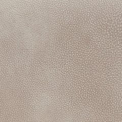 4Z-Peaceful Pause Power Lift Recliner