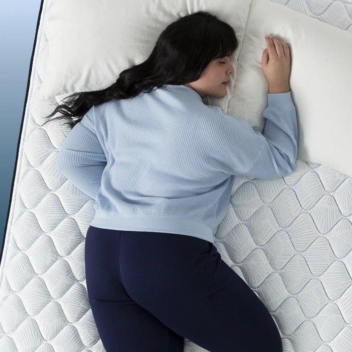 Serta Perfect Sleeper Innerspring Mattress Adoring Night Plush Tight Top - Twin XL image